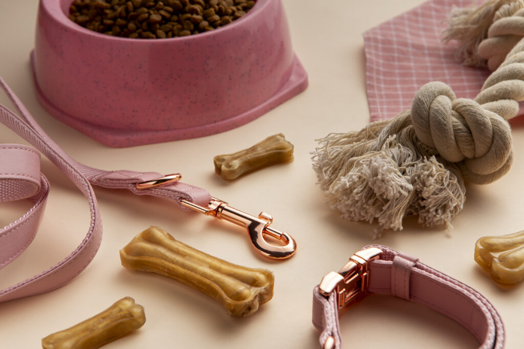 top-view-pet-accessories